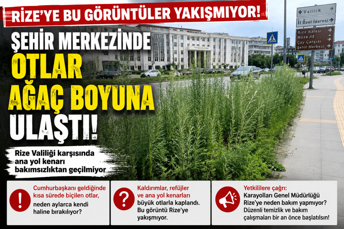 RİZE'DE BAKIMSIZLIK TEPKİSİ: ŞEHİR MERKEZİNDE OTLAR AĞAÇ BOYUNA ULAŞTI
